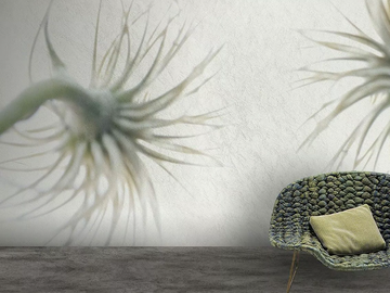 MARGHERITA - Vinyl or fyber glass wallpaper by N.O.W. Edizioni - view 2